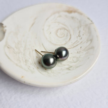 Tahitian Pearl Earstuds (Dark Grey/Purple Overtone) / 14k Gold-filled