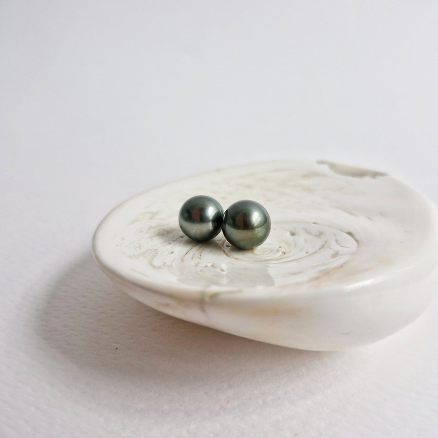 Tahitian Pearl Earstuds #25 (Dark Grey/Green Overtone) / 14k Gold-filled